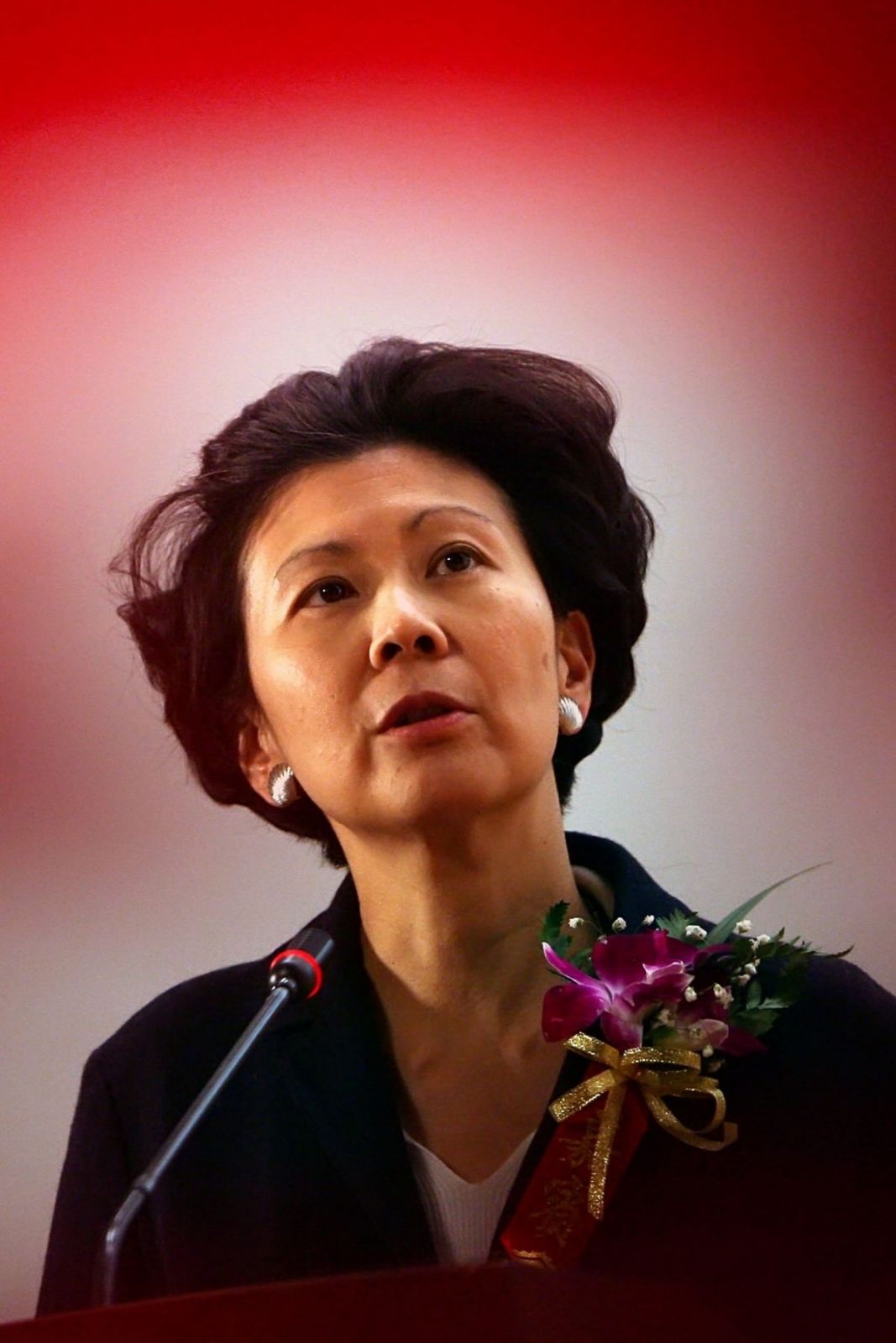 Solina Chau  Director, Li Ka Shing Foundation