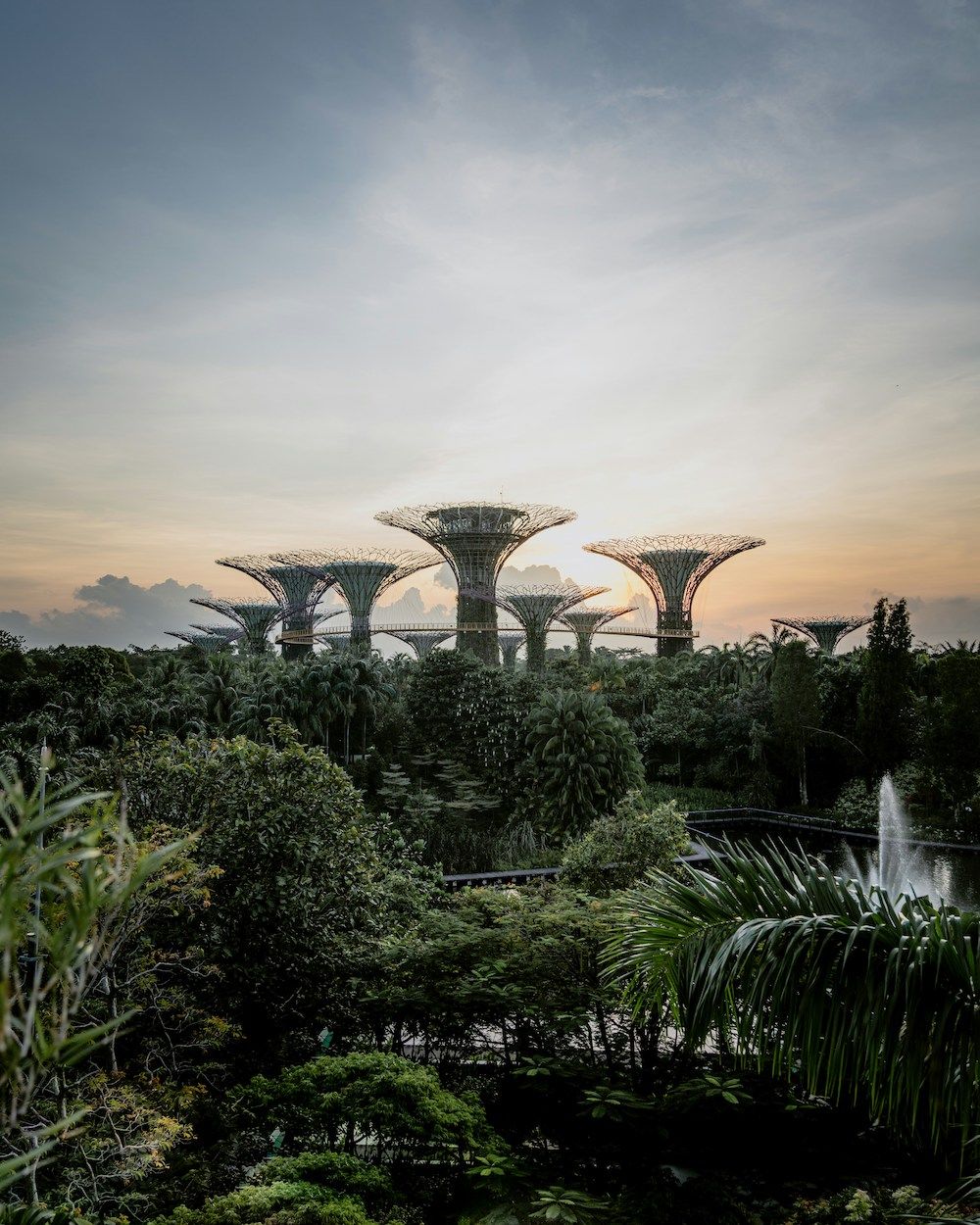 Singapore's Gardens by the Bay