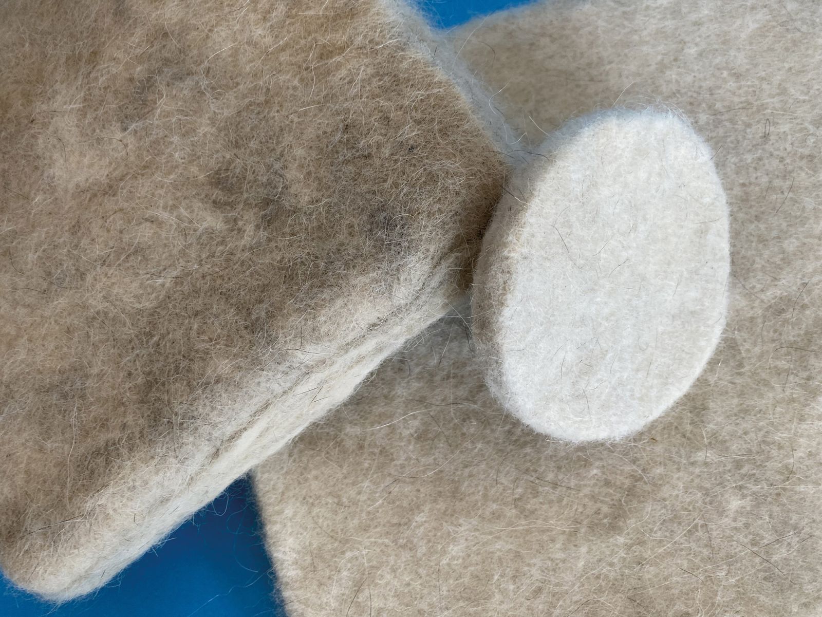 Alessandra Tuseo’s experimental Wolfwall insulation material