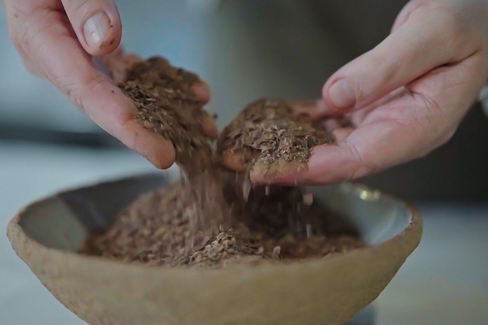 Cacao farms for R&B on The Unknown Faces of Cacao menu by Gallery by Chele