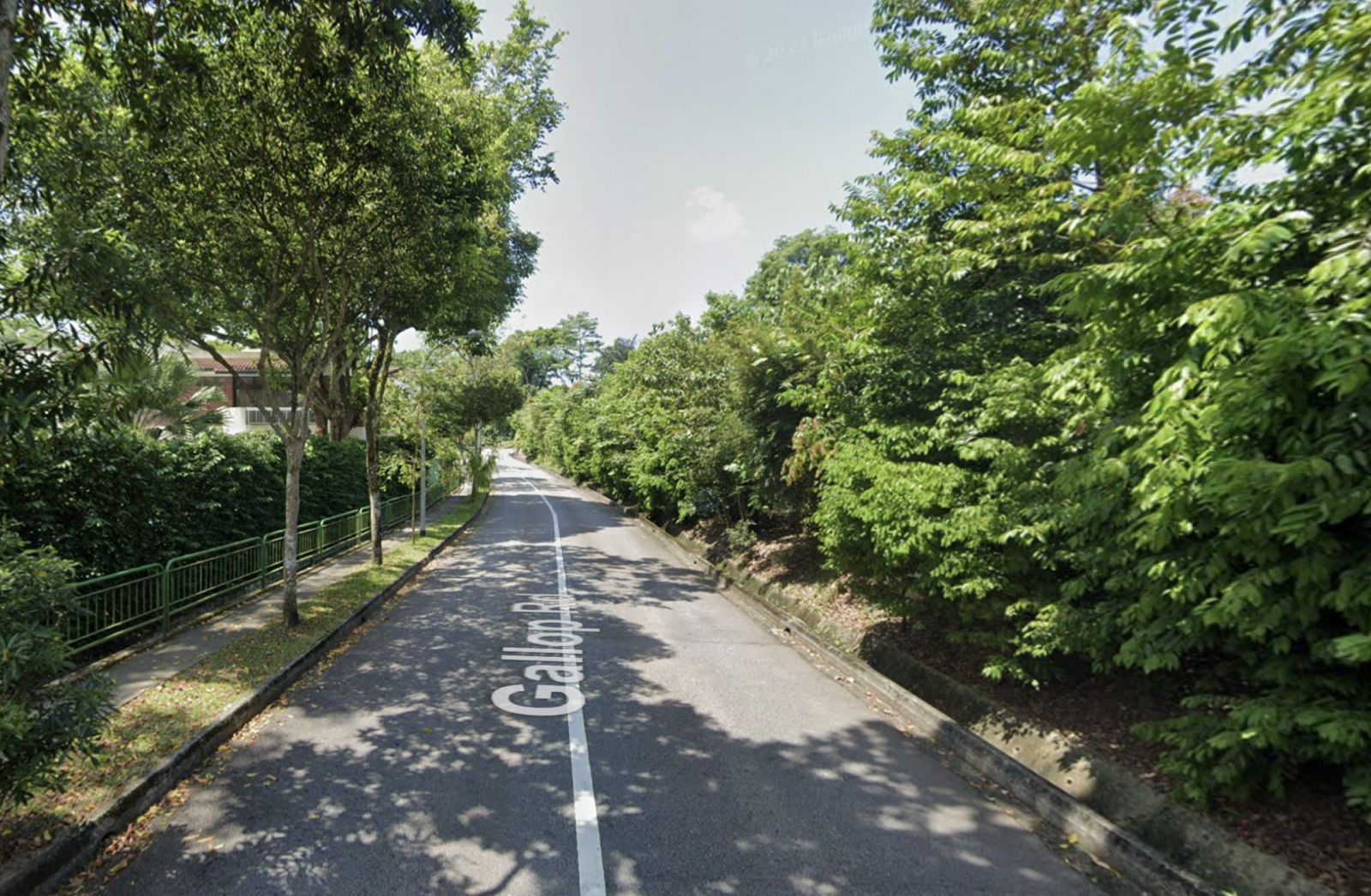 The quiet, lush surroundings along Gallop Road