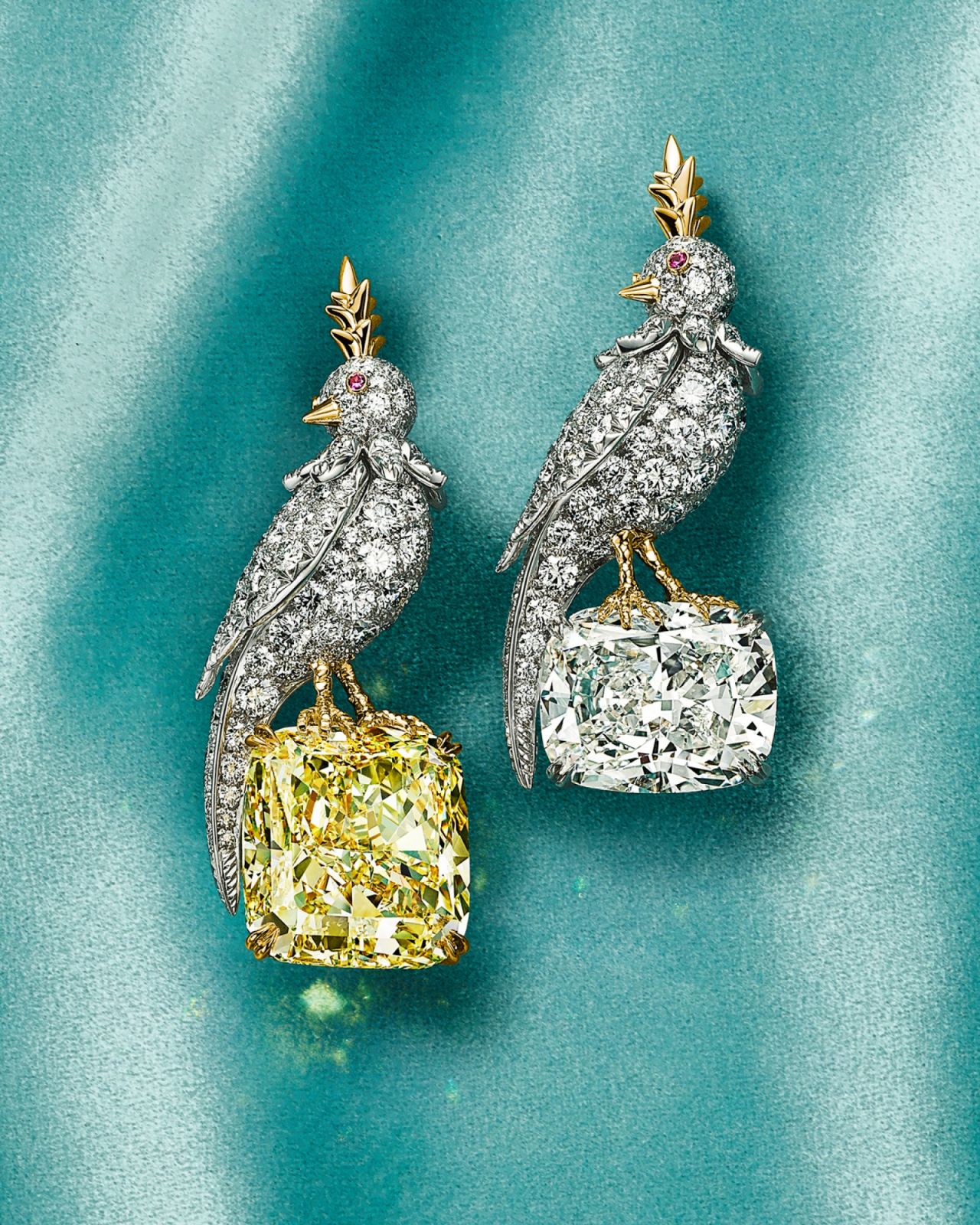 Tiffany石上鳥系列胸針,採用與傳統石上鳥不同的站姿設計,鑲嵌黃鑽以及白鑽。(Photo: Tiffany & Co.)