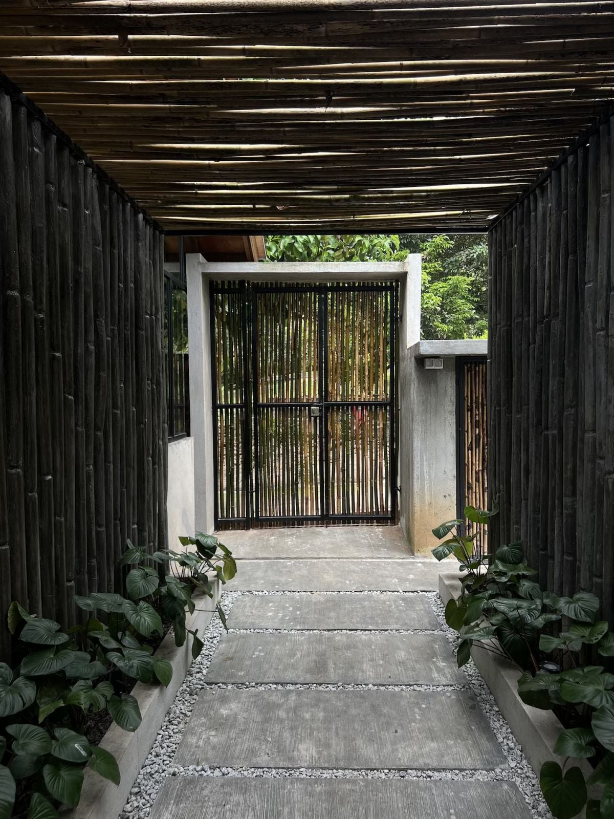 Villa Sunlight Between the Trees - Komorebi