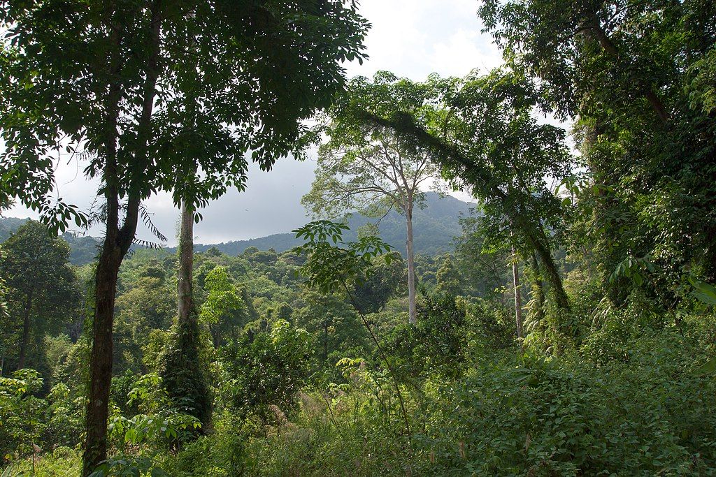 climate change Ko Chang Island, Thailand