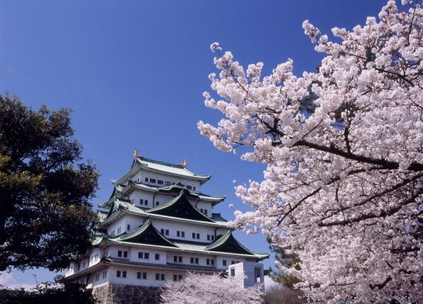 日本名古屋