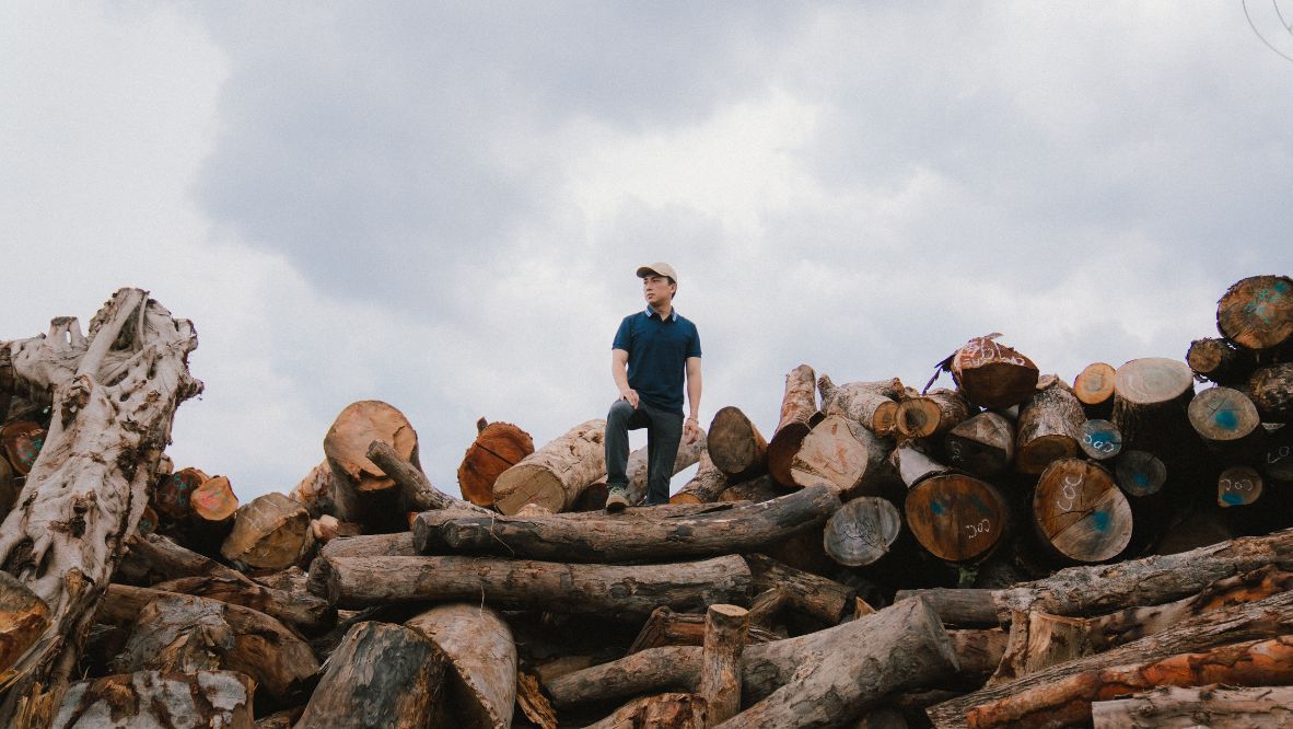 Between 60,000 to 80,000 tonnes of tree waste goes to the landfill every year, says Ricci Wong; the Timberbank yard can hold about 140 tonnes. (Photo: Billy Chan / Tatler Asia)