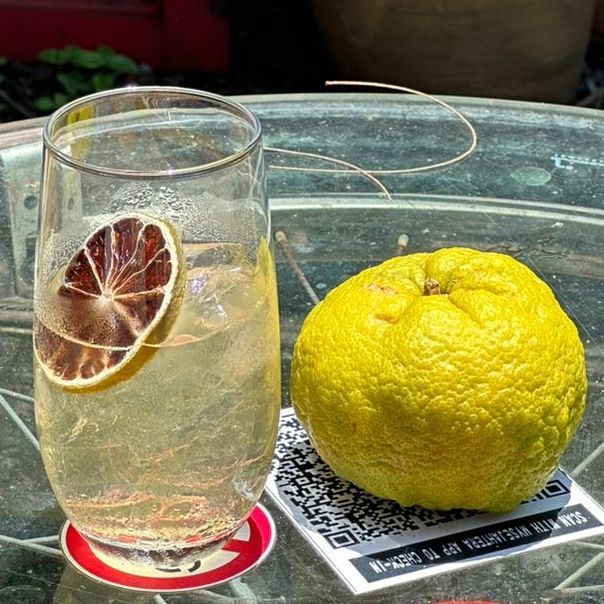 A rum, ginger, and lime cocktail from Dilam (Photo: dilam.cocktails)
