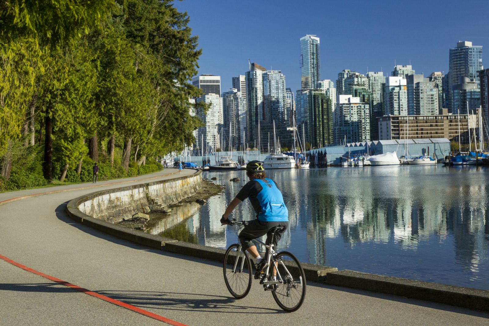 a tourist bicycling on a rental bike on a sunny warm blue sky day along the sea wall bike path in Stanley Park in downtown Vancouver, British Columbia, Canada