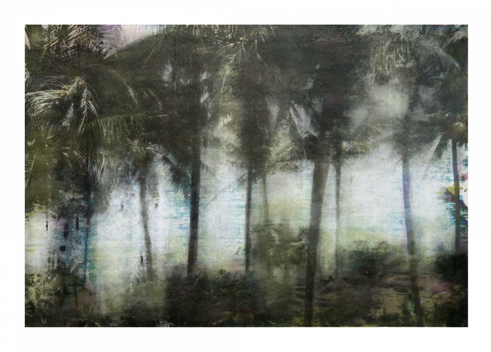 Munoz, M. - Palms