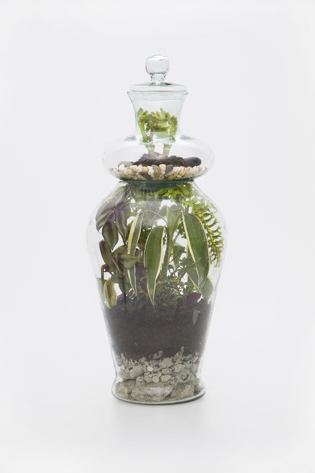 Navarozza, W. - TERRARIUM nº22