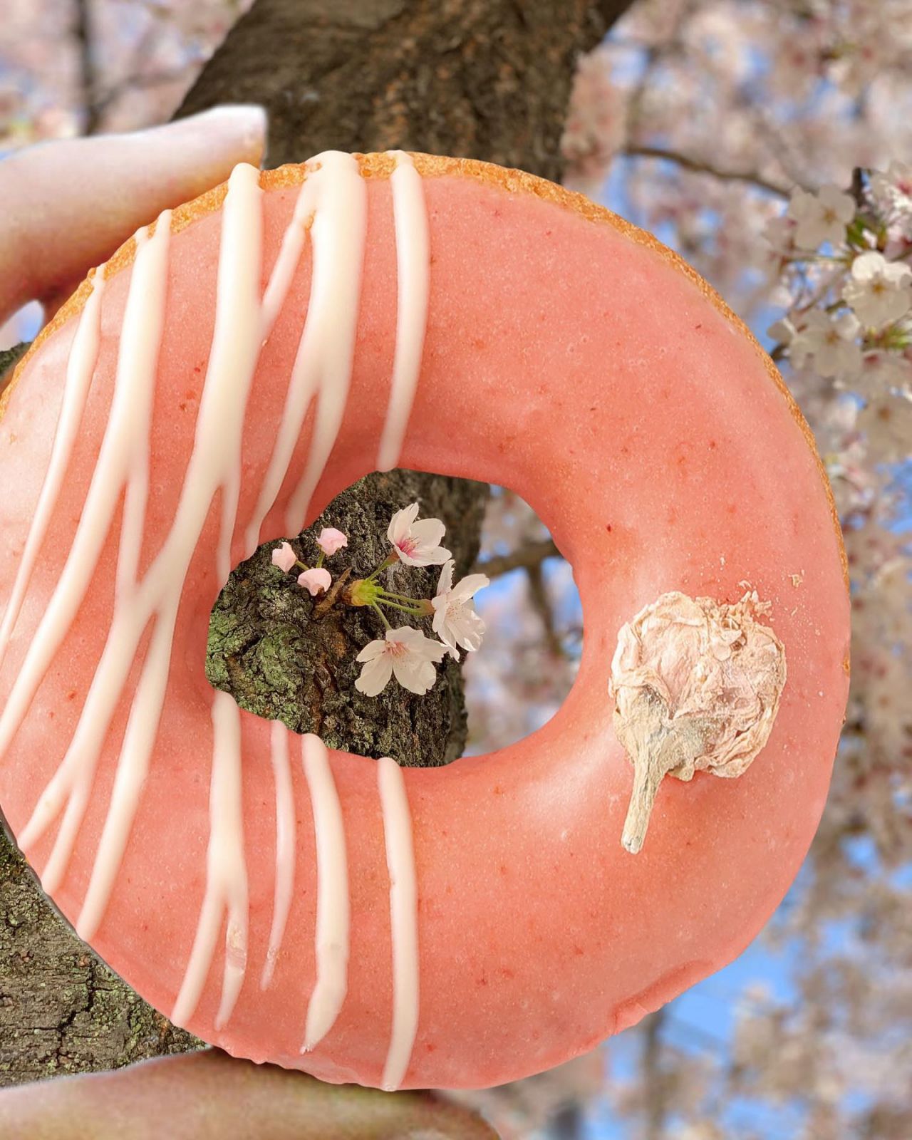 東京必食冬甩︰はらドーナッツ hara donuts (Photo: IG@haradonuts)
