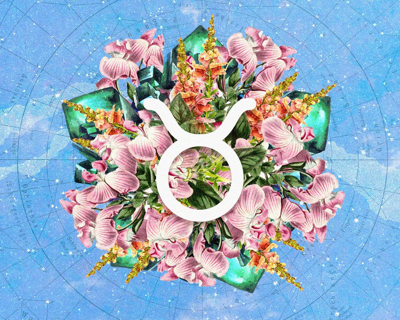 Tatler’s weekly horoscope: May 5-11