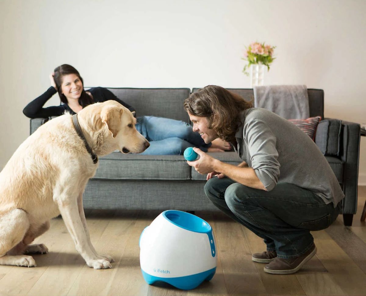 iFetch Too Ball Launcher
