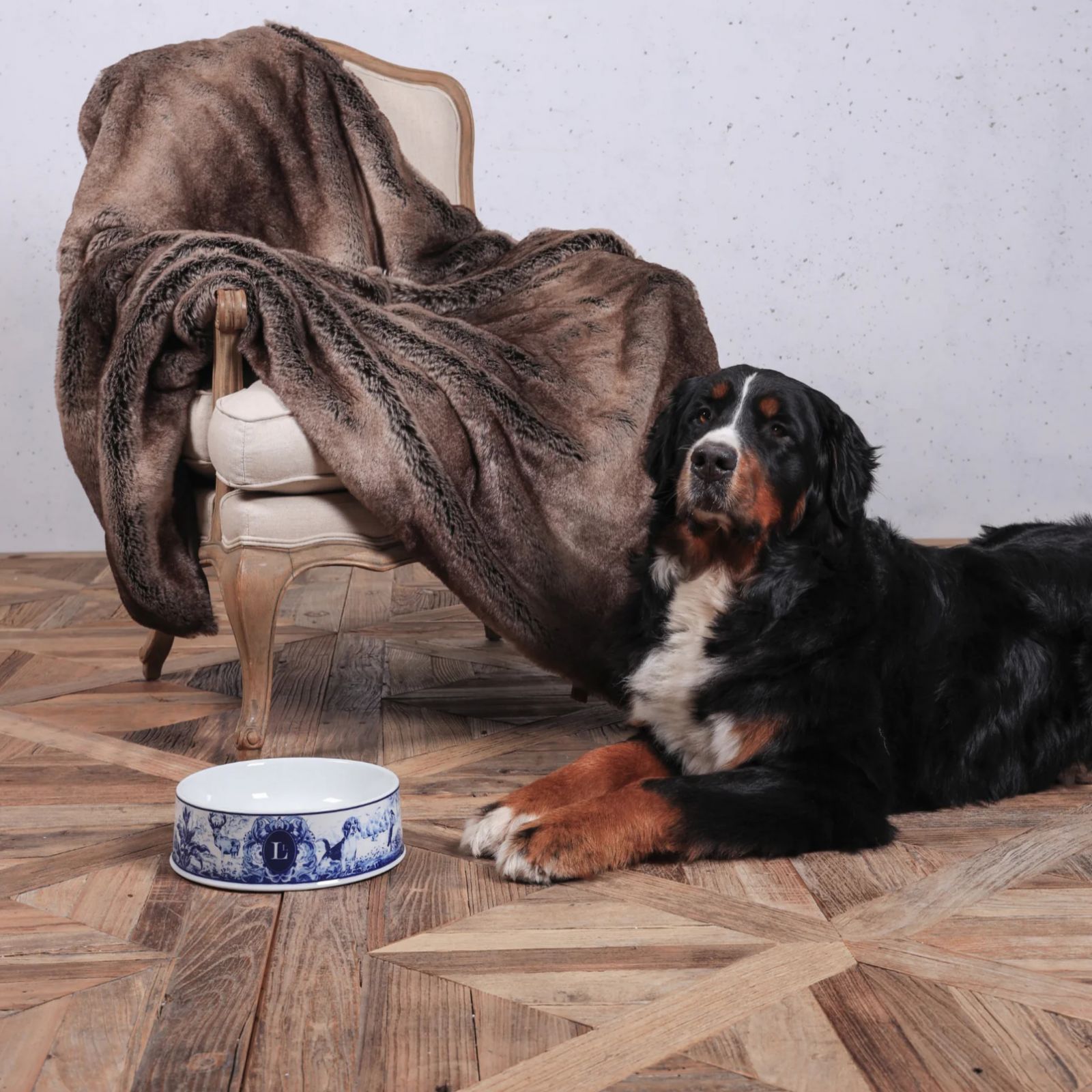 The Enchanted Forest dog bowl - Royal Delft from Lord Lou