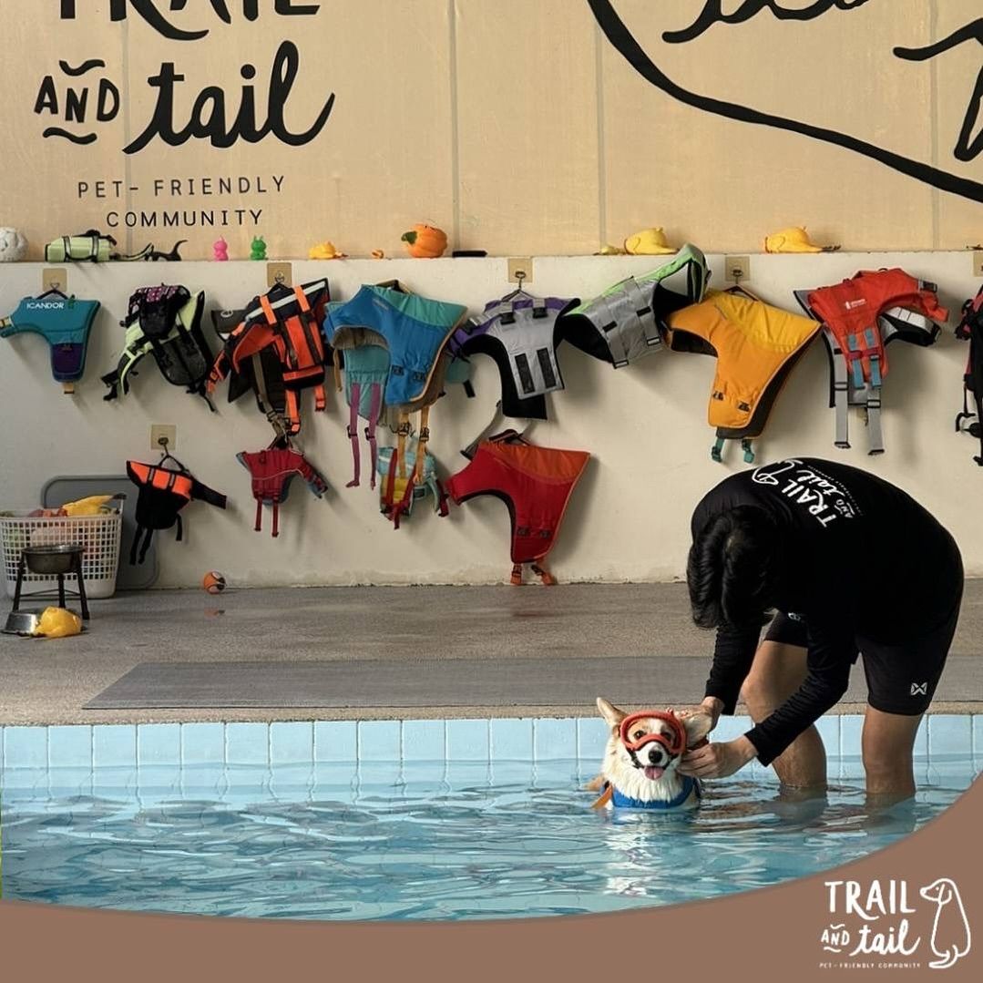 Pet Swimming Pool at Trail and Tail