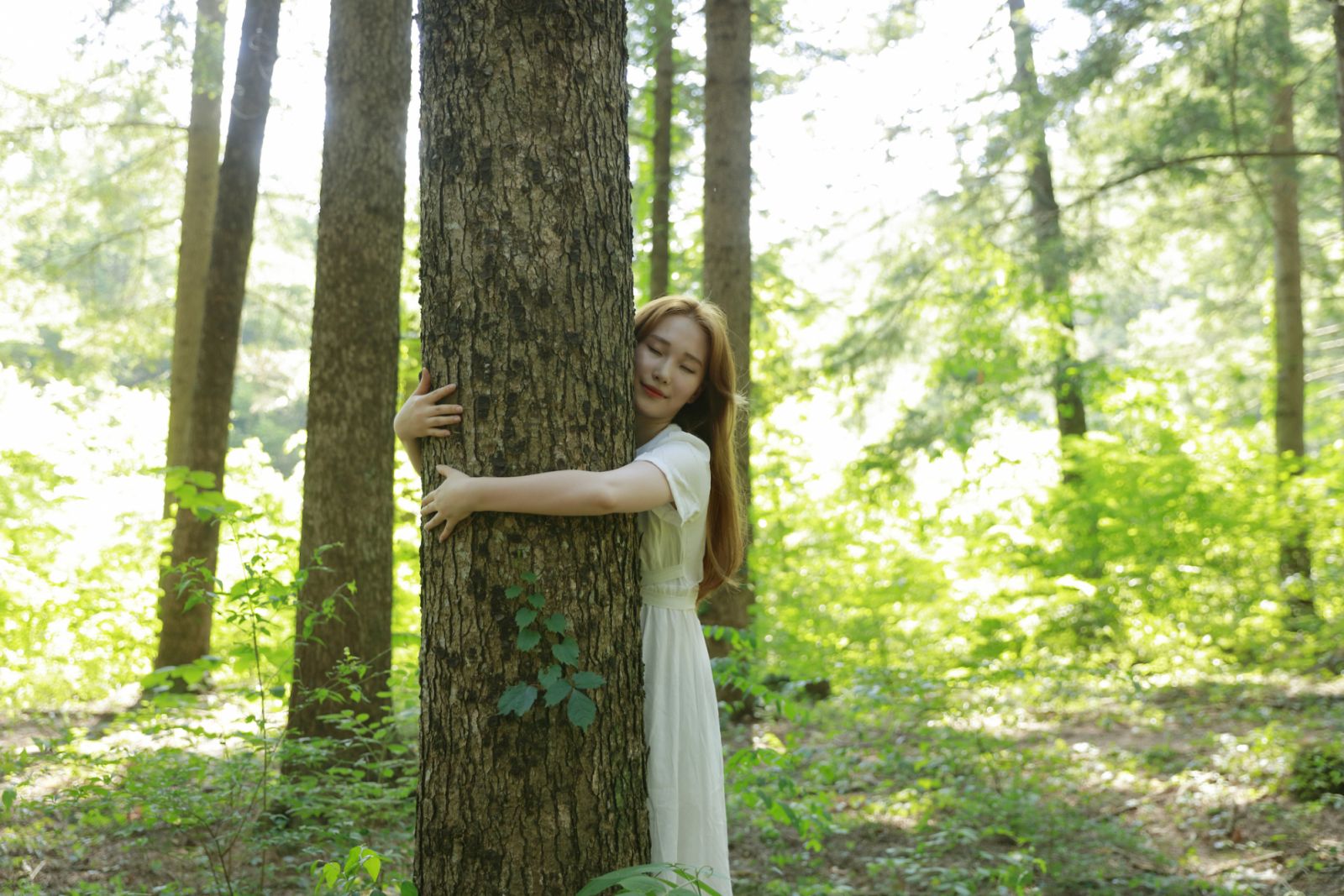 Forest Bathing