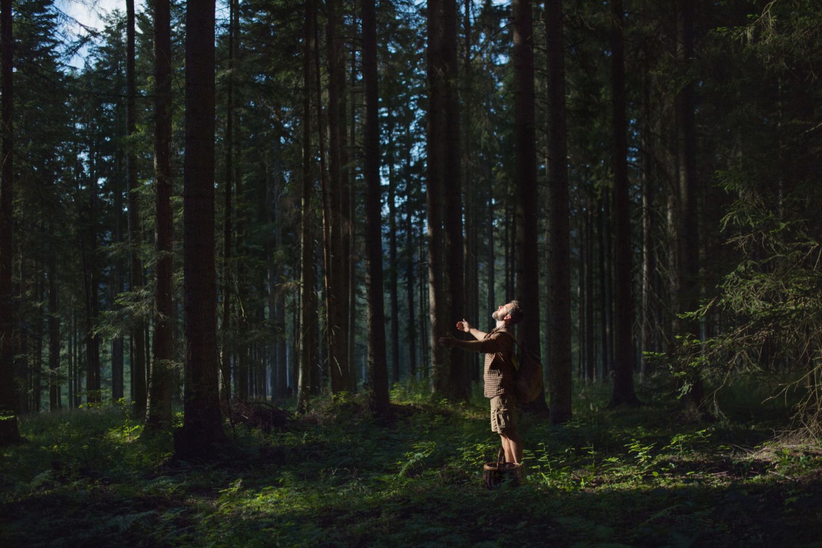 Man with outstretched arms standing in forest.