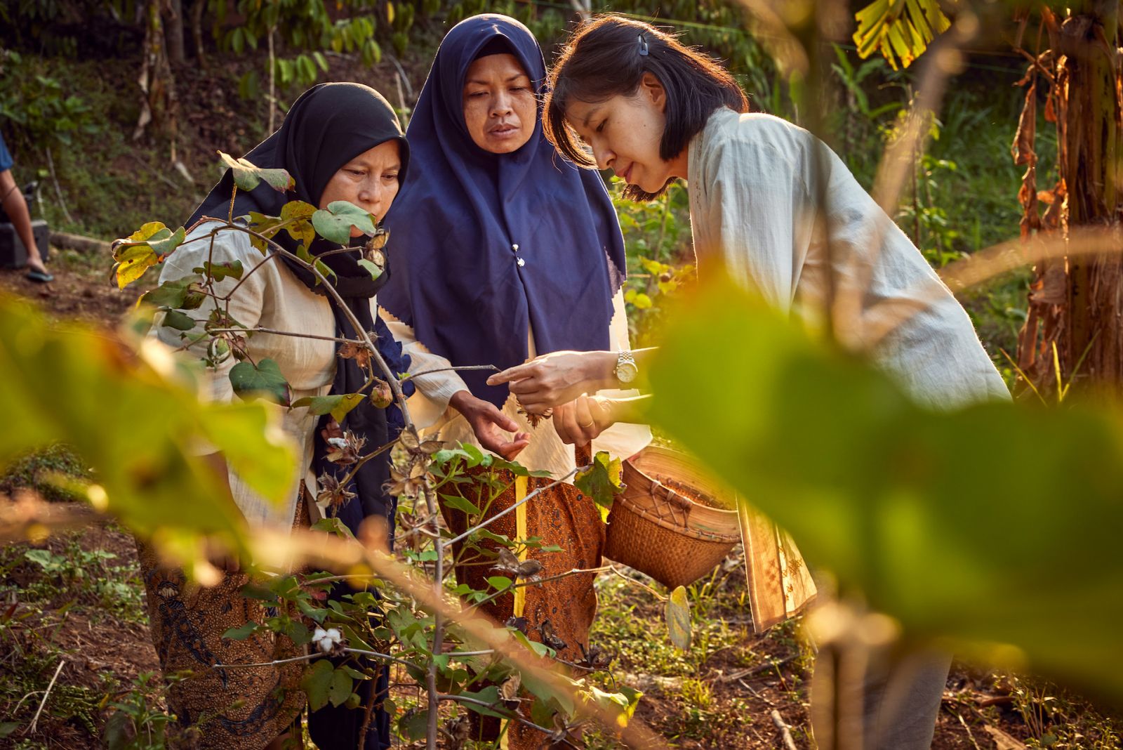 Denica Riadini-Flesch, founder and CEO of SukkhaCitta, talking with Ibu Tun and Ibu Dair in a cotton field near Central Java, Indonesia. Ibu is a term of respect used for elder craftswomen in Indonesia, and SukkhaCitta offers them the support they need to earn a living wage through their traditional crafts.