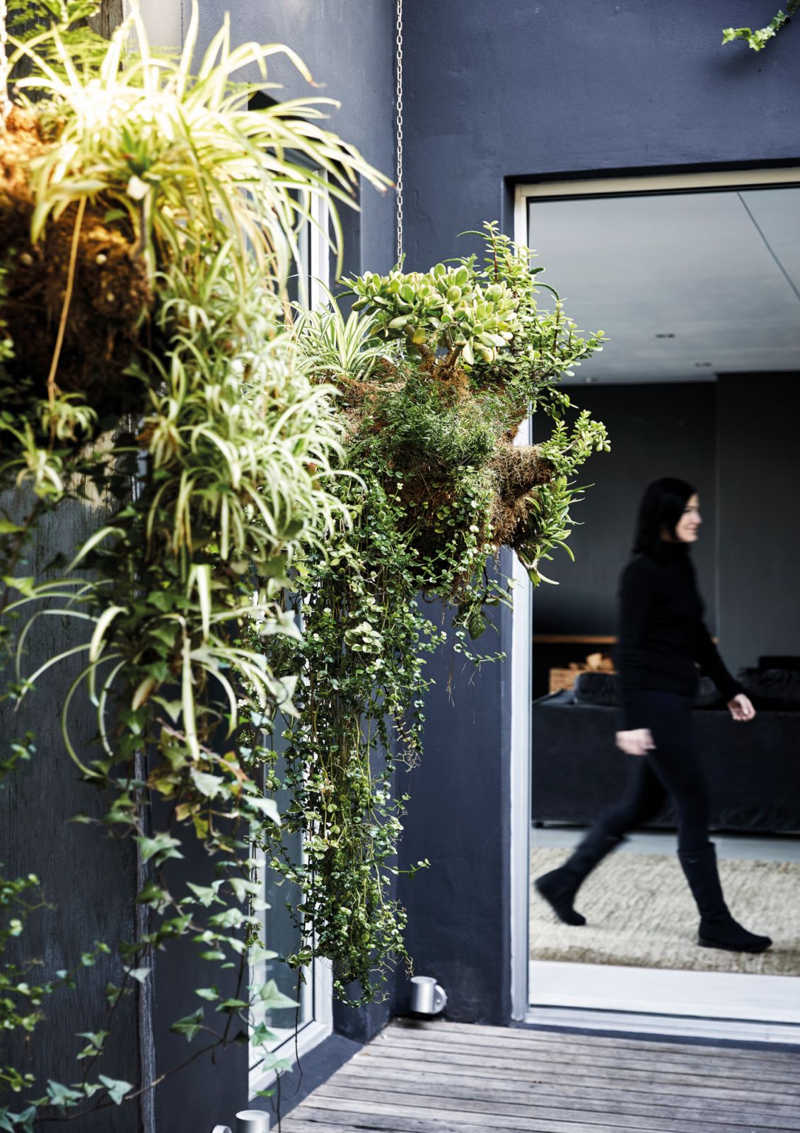 Trailing plants add loads of textural appeal