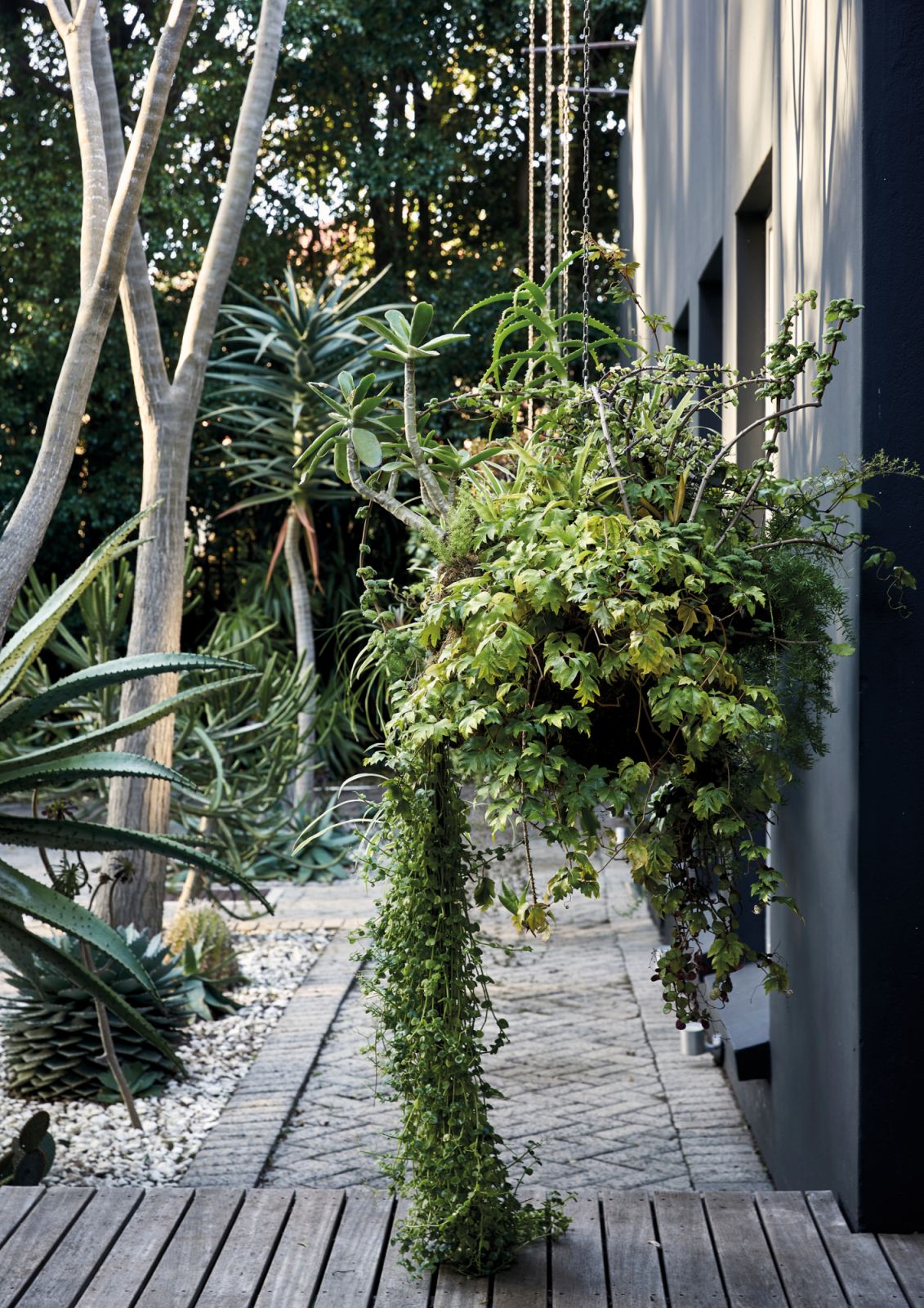 Refreshingly green against this charcoal-hued exterior are hanging leafy plants, succulents and waterwise species