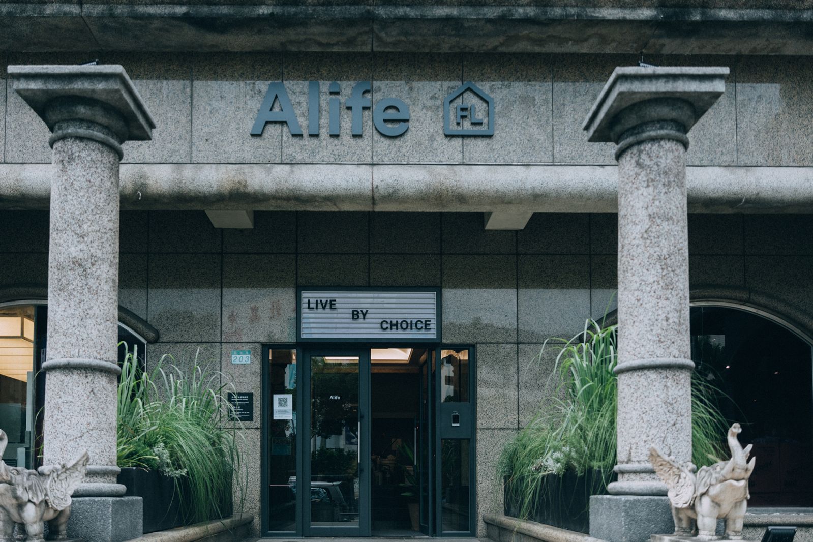 （Photo: Alife）