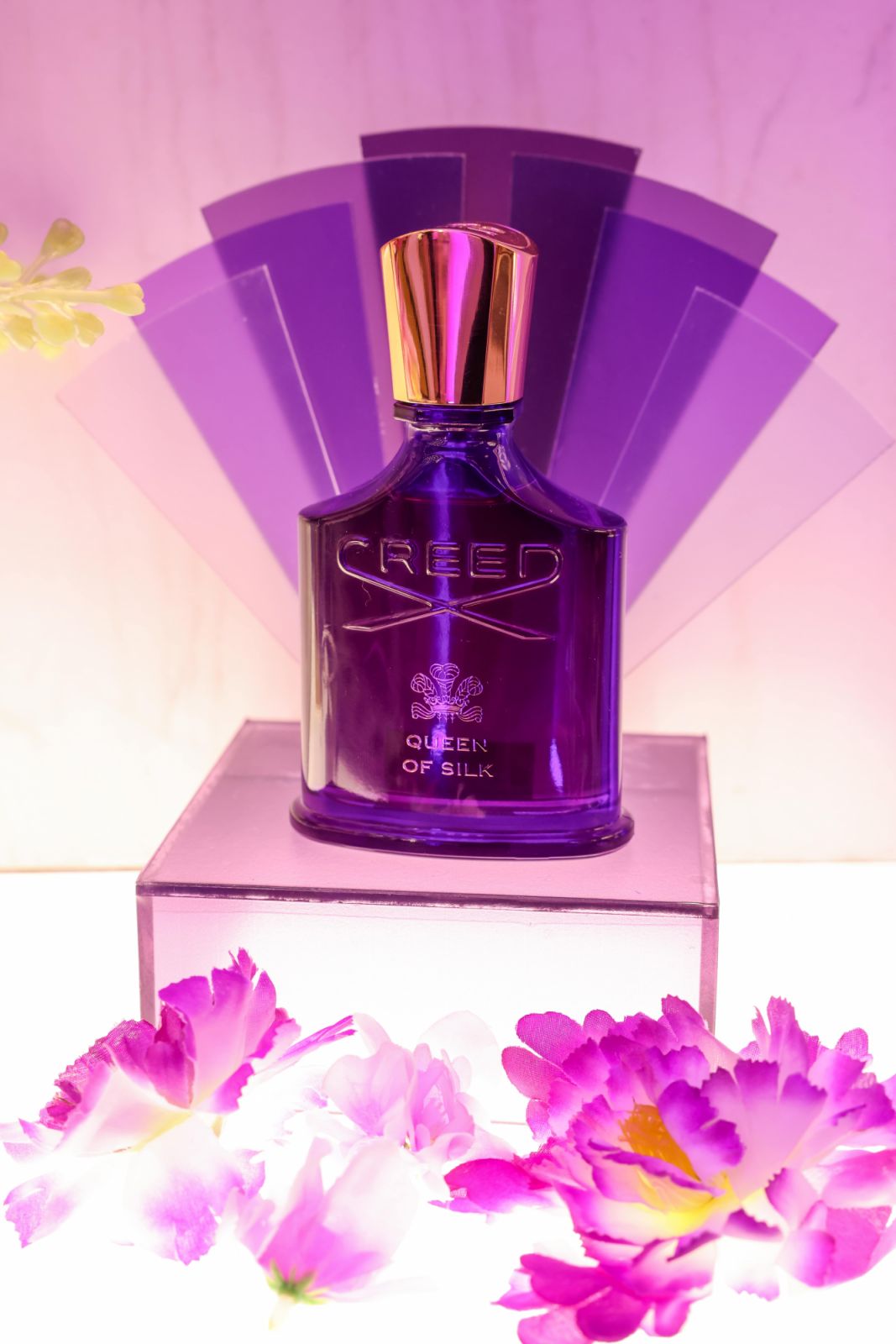 The Queen of Silk, displayed in-store