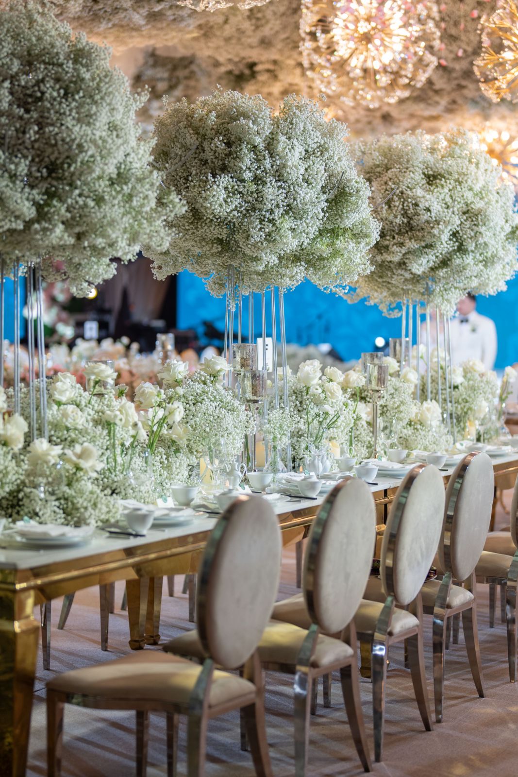 Fresh gypsophila by Teddy Manuel