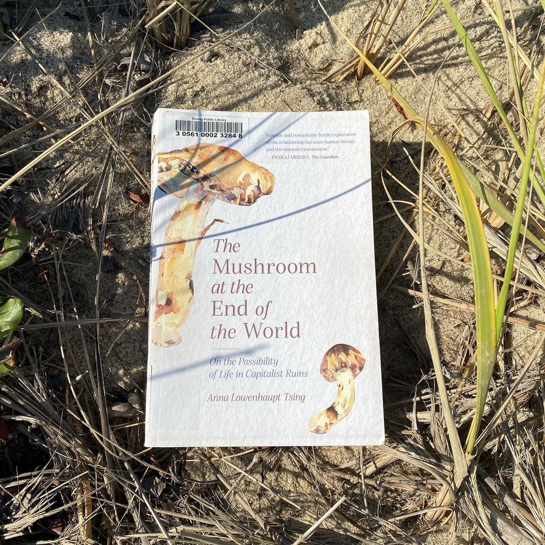 The Mushroom at the End of the World by Anna Tsing (Photo: Instagram / @openbookopen)