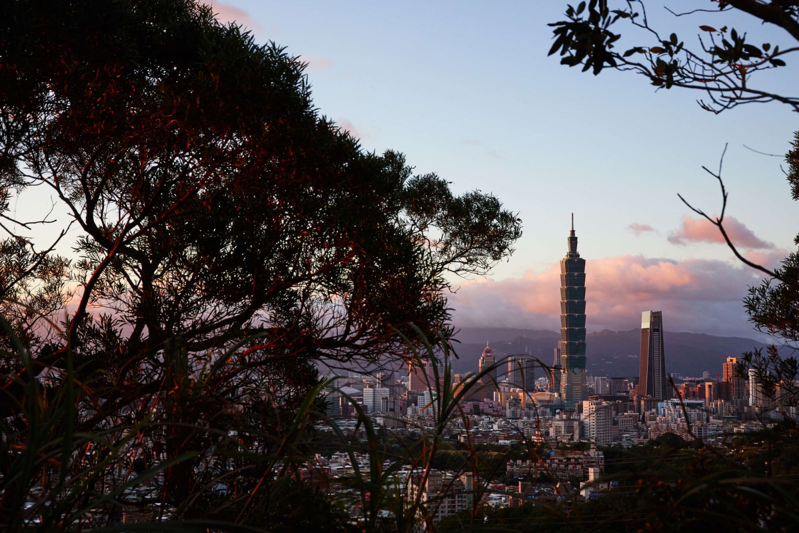 TAIPEI, TAIWAN - 2018/07/17: Taipei 101 rises from the city skyline as the sun sets over the city. (Photo by Craig Ferguson/LightRocket via Getty Images)