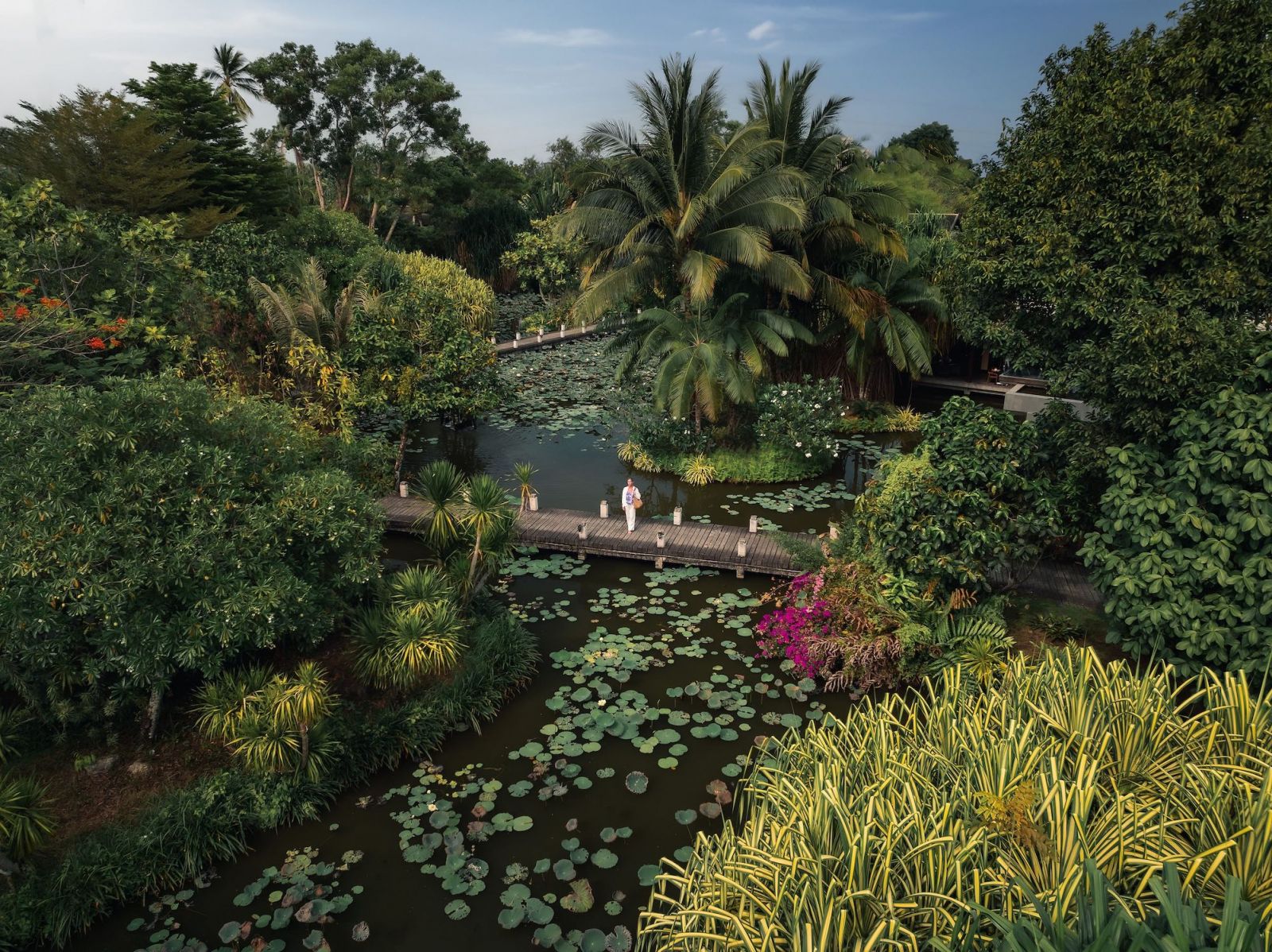 Lotus pond at Anantara Mai Khao Phuket Villas