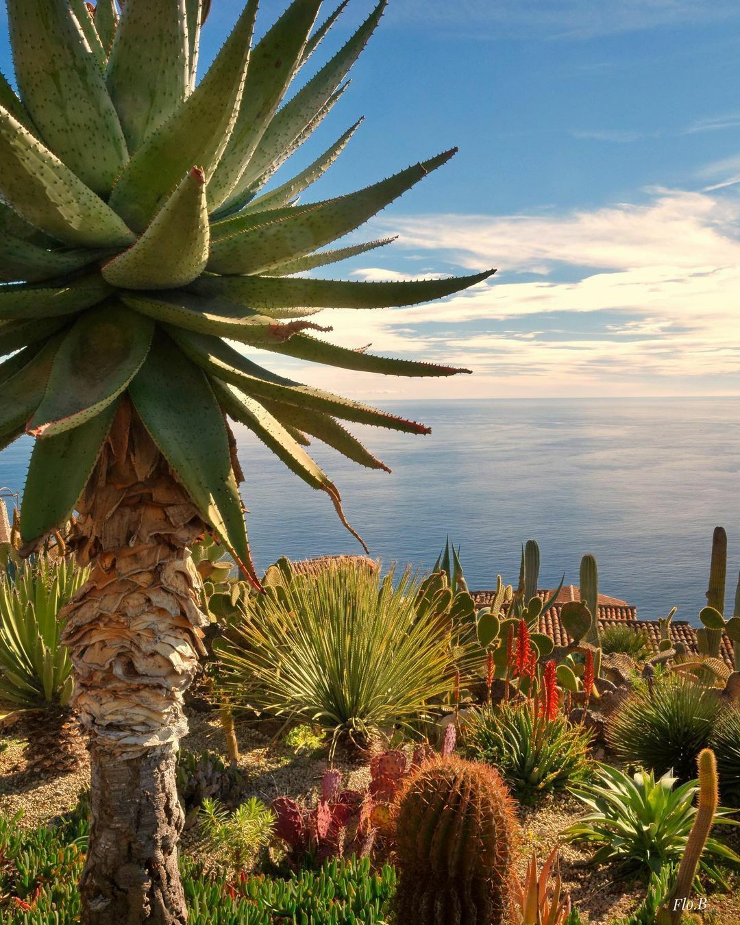 Exotic Garden of Eze, France
