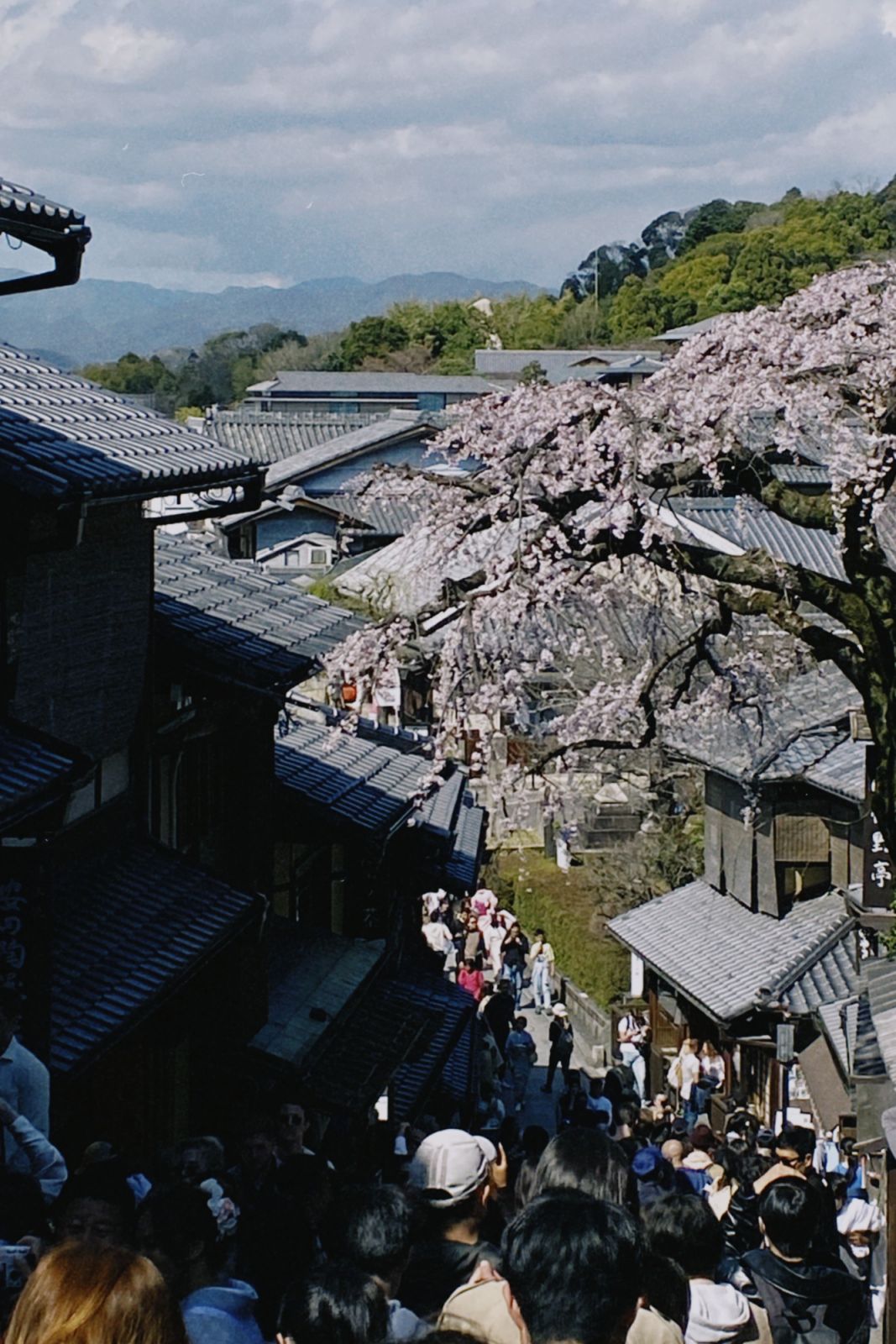 Locals and tourists alike shopping in the Higashiyama District