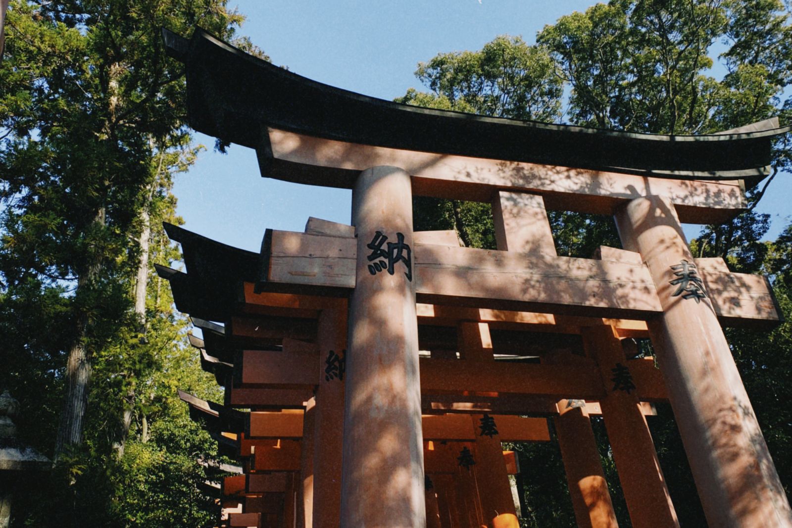The Fushimi Inari Shrine up close