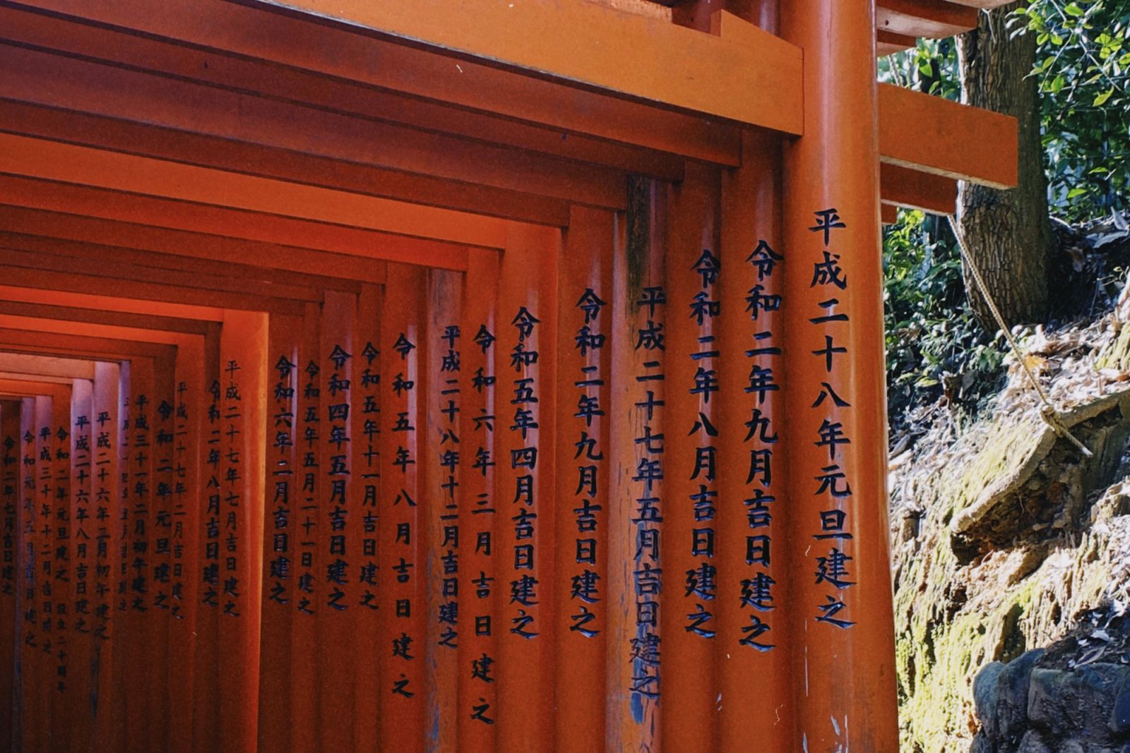 A different perspective of the torii gates bearing the names of businesses and companies