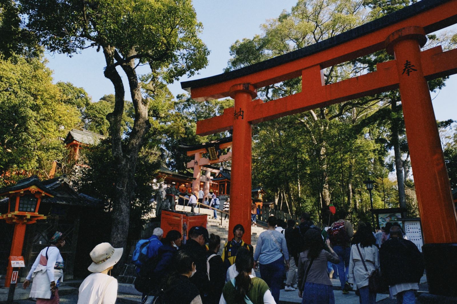 The view upon entering the famed torii gates