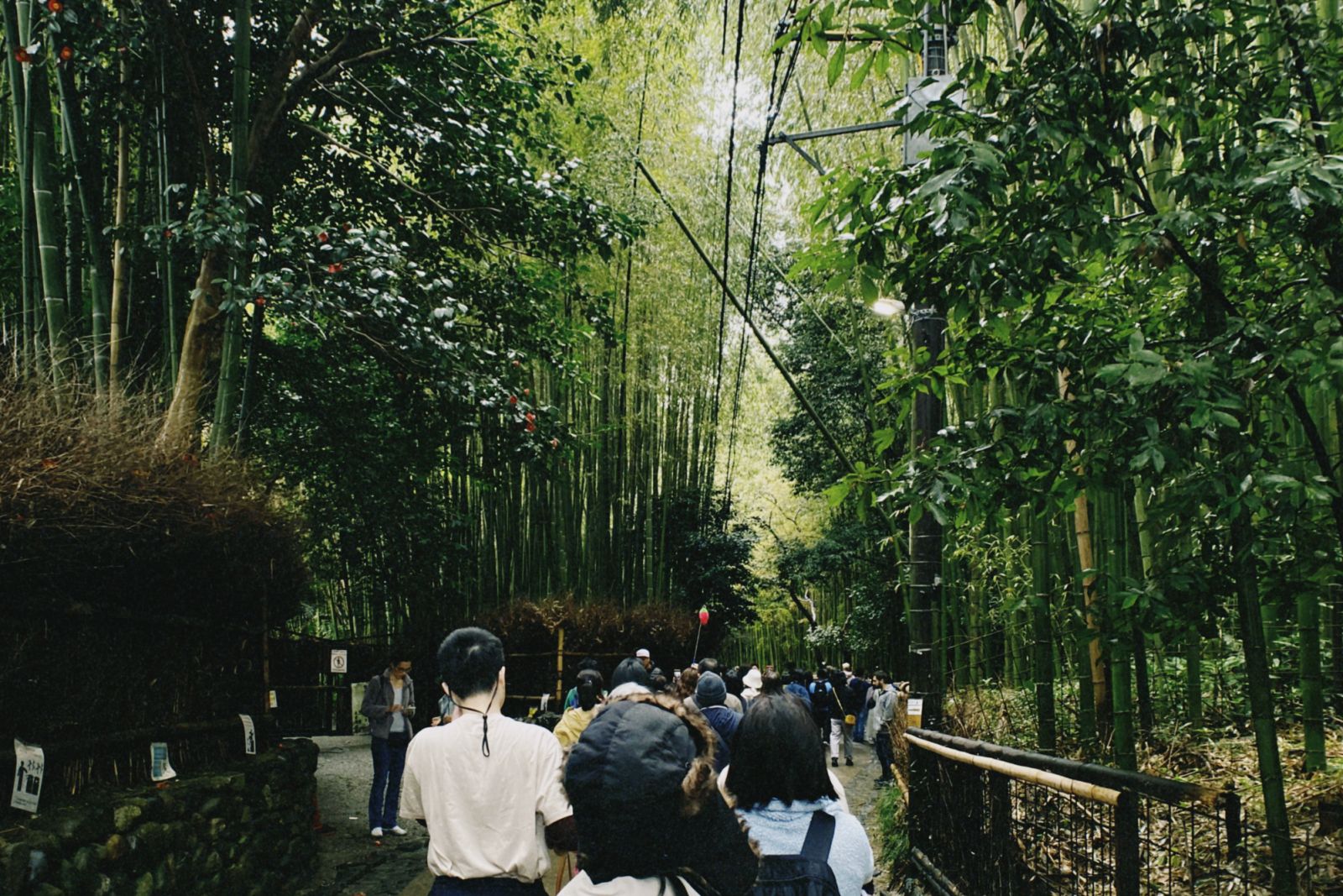 A crowd of people entering the Arashiyama Bamboo Grove