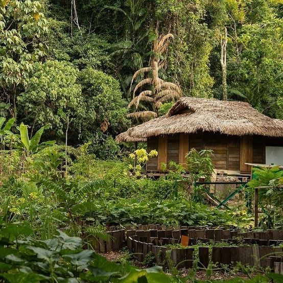東南亞最豪華度假村︰馬來西亞 The Datai Langkawi (Photo: IG@thedatailangkawi)