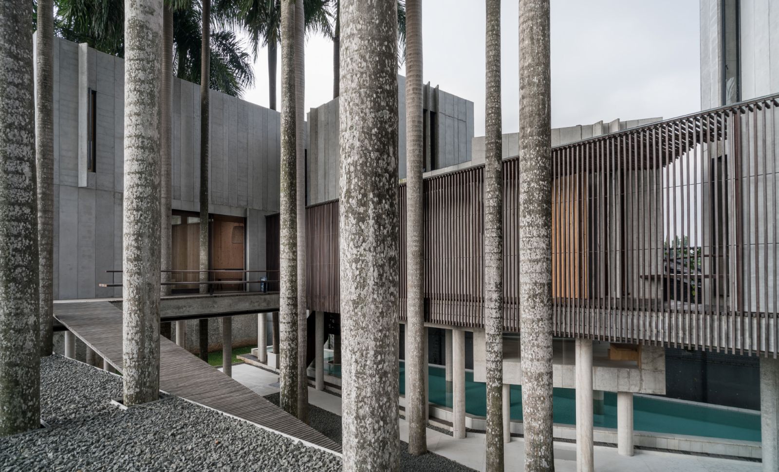 Palm trees on-site were retained around the build of Rumah Palem by Andra Matin