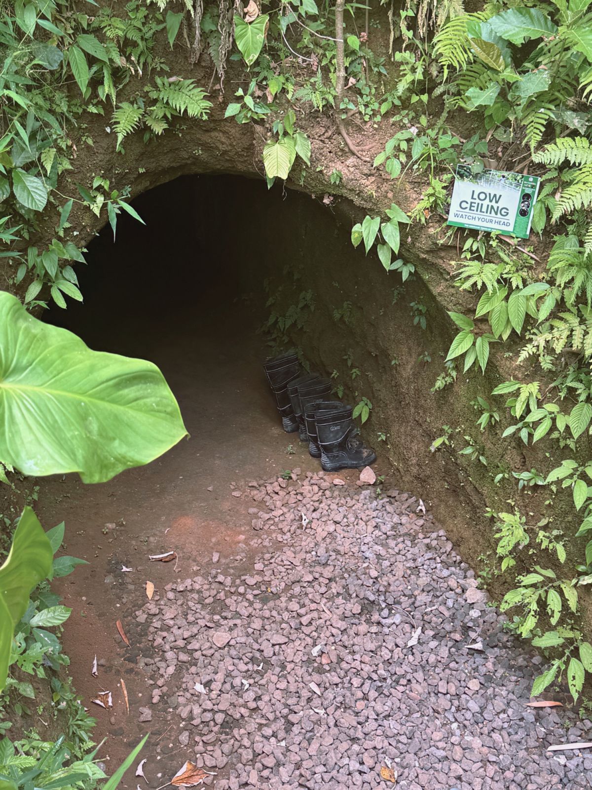 Entrance to the World War II Japanese tunnels in Ligñon Hill, Albay | Photo by: Dowee Untivero