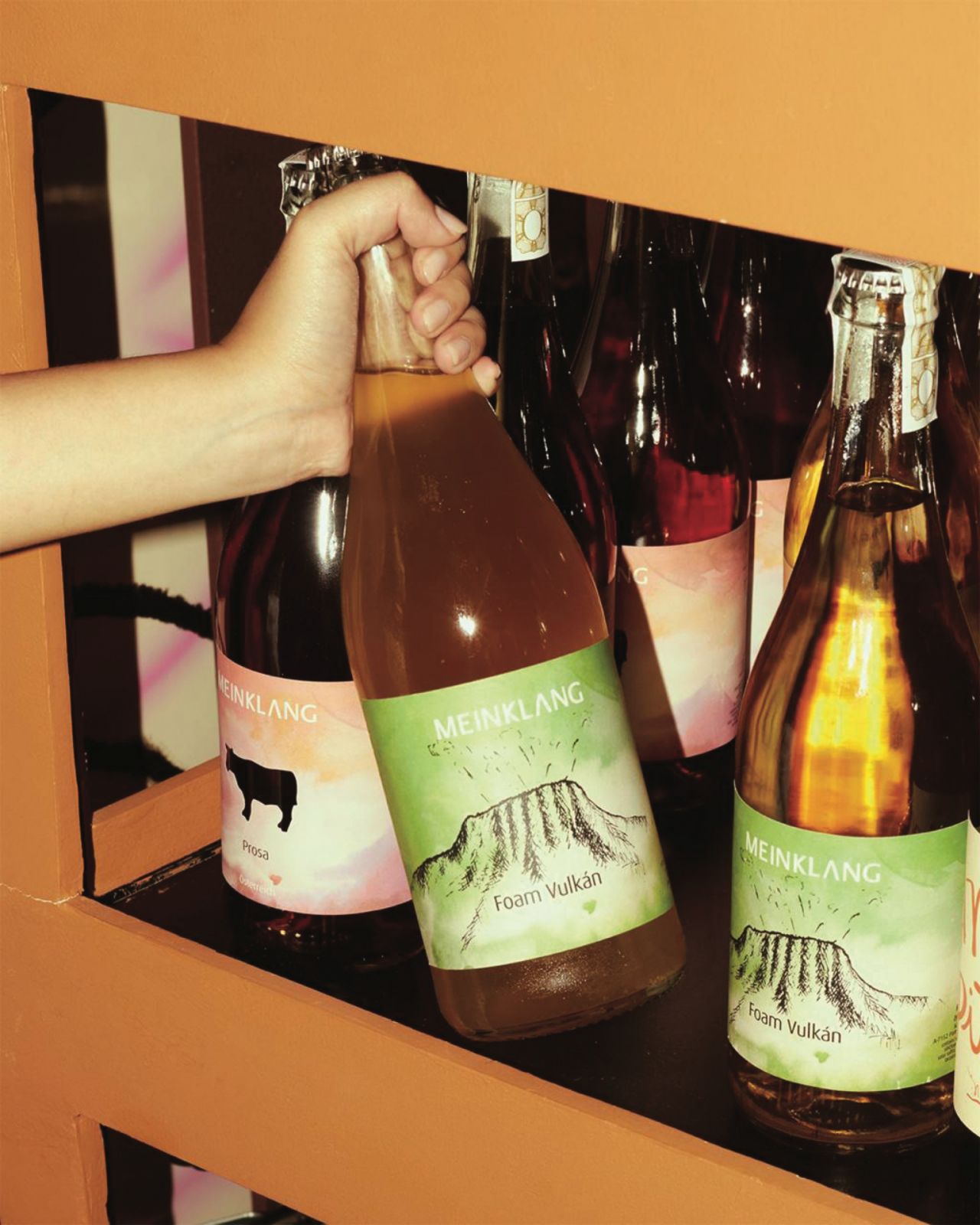 Fresh Fizz - Sparkling Natural Wines Pét-Nats - Meinklang Foam Vulcan