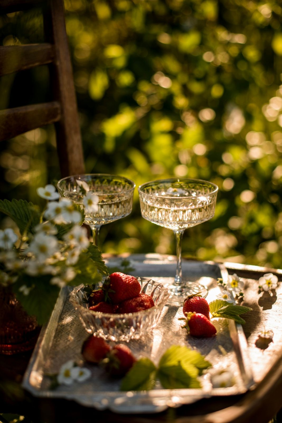 Fresh Fizz - Sparkling Natural Wines Pét-Nats - Kateryna Hliznitsova / Unsplash