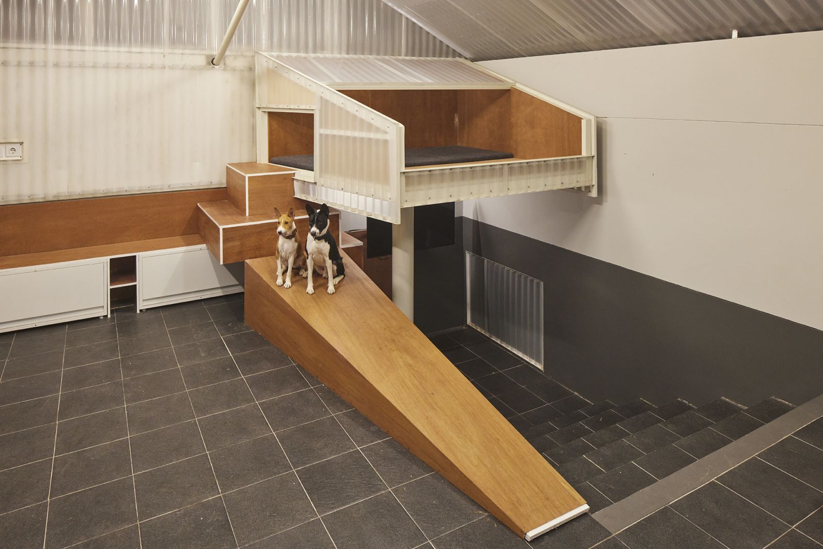 The interior of Ndalem Patma, an extension built for his Basenji pet dogs, Papat and Delima