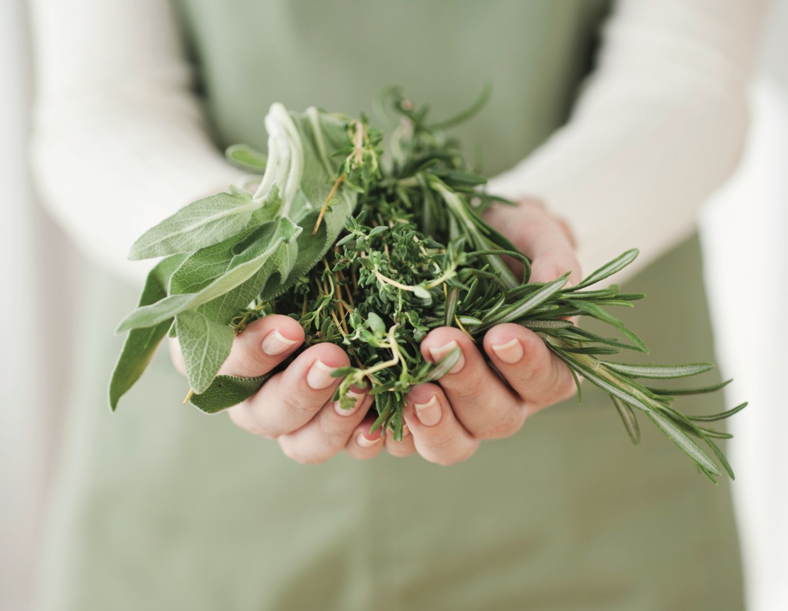 Growing your own herb garden - GettyImages / Tetra Images
