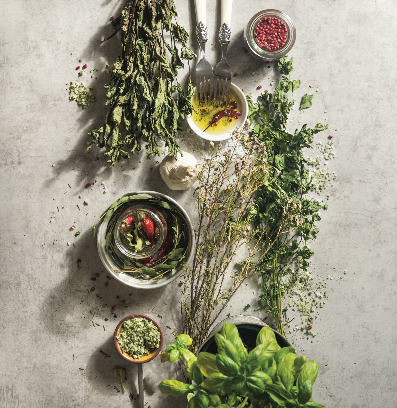 Growing your own herb garden - GettyImages / VICUSCHKA