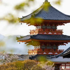 精選日本7家超古老企業，居然有4間都是旅館。