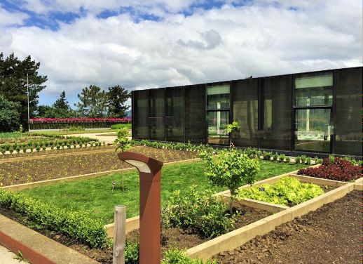 Azurmendi’s lush green spaces