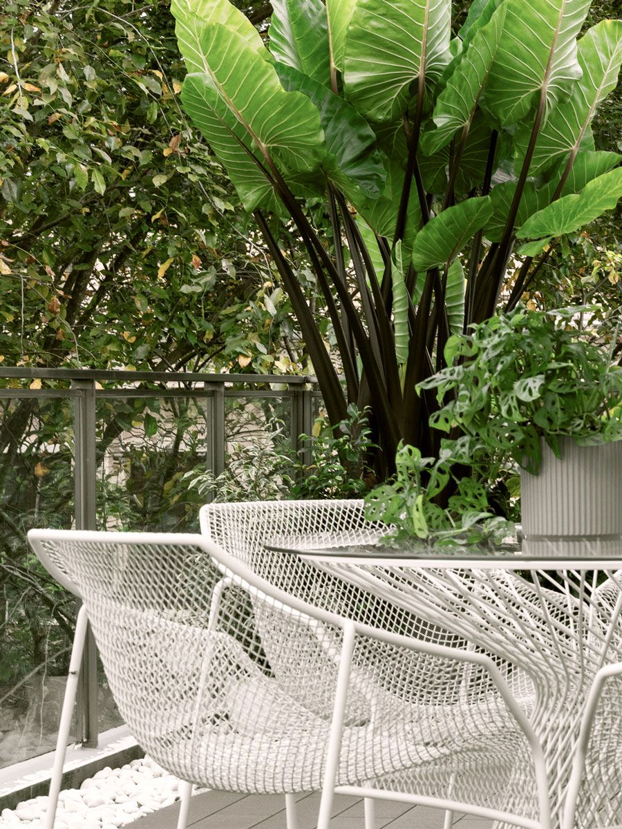 The breezy outdoor terrace looks out to lush green views