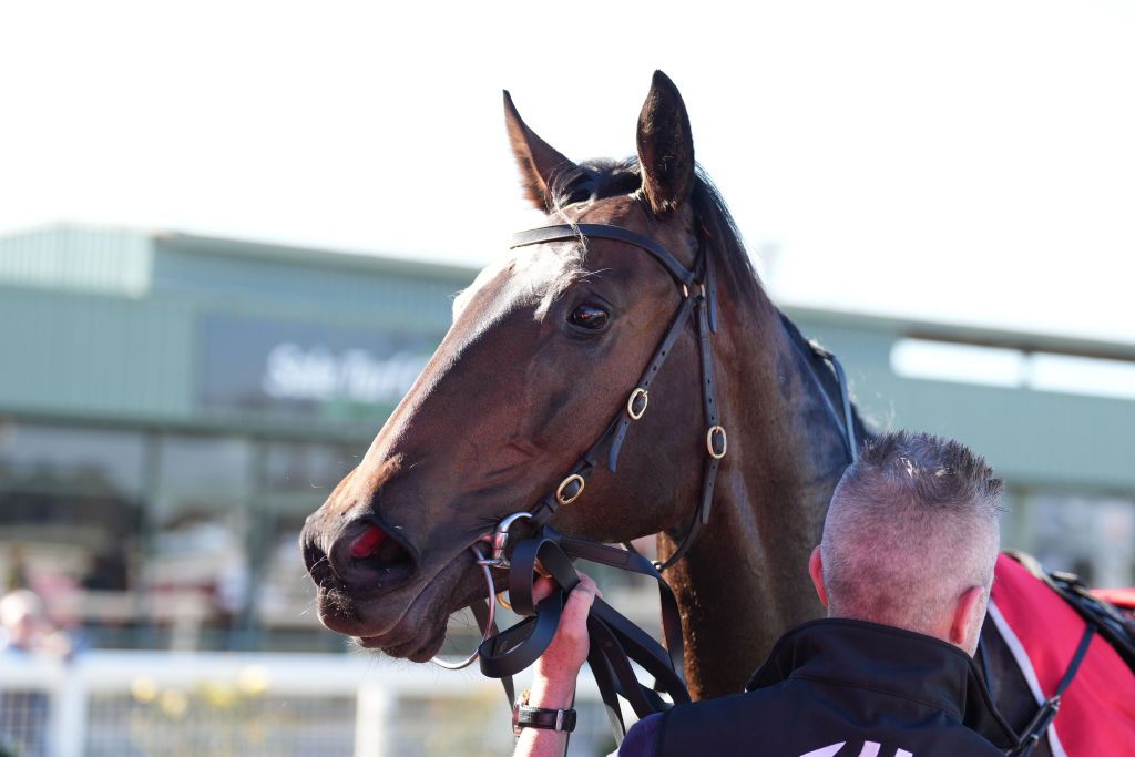 Another Prophet after winning the Mac Waste Group Maiden Plate at Sale Racecourse on May 29, 2024 in Sale, Australia. (Photo by Scott Barbour/Racing Photos via Getty Images)