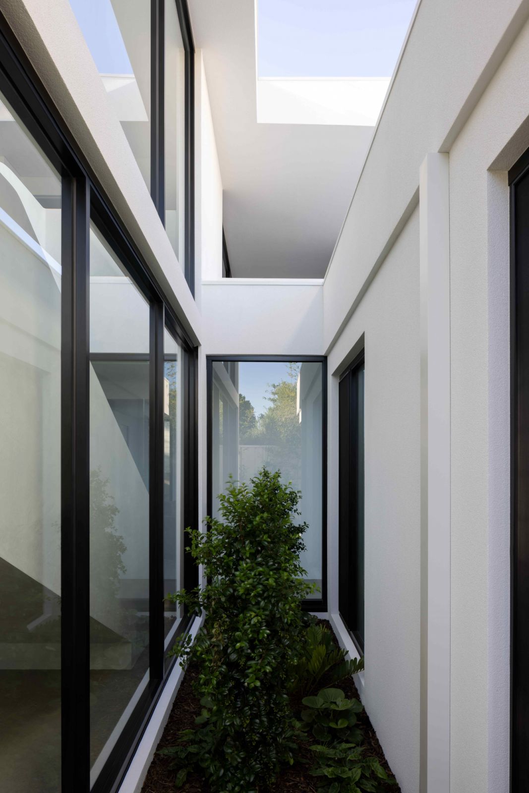 Architectural structure that allows in ample light