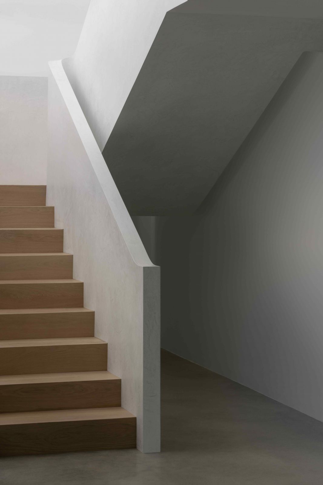 Warm timber juxtaposes cool monolithic concrete